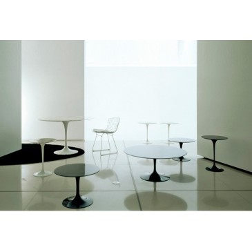 Re-edition of Tulip dining table by Eero Saarinen in laminate, carrara or marquinia